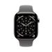 Apple Watch Series 11 GPS + Cellular 42mm Natural Titanium Case with Stone Grey Sport Band - M/L MF8N4WF/A