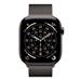 Apple Watch Series 11 GPS + Cellular 46mm Slate Titanium Case with Slate Milanese Loop - S/M MFD34WF/A
