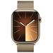 Apple Watch Series 9 Cellular 45mm Zlatá ocel se zlatým milánským tahem MRMU3QC/A