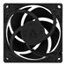 ARCTIC P8 Silent Case Fan - 80mm case fan with low speed ACFAN00152A
