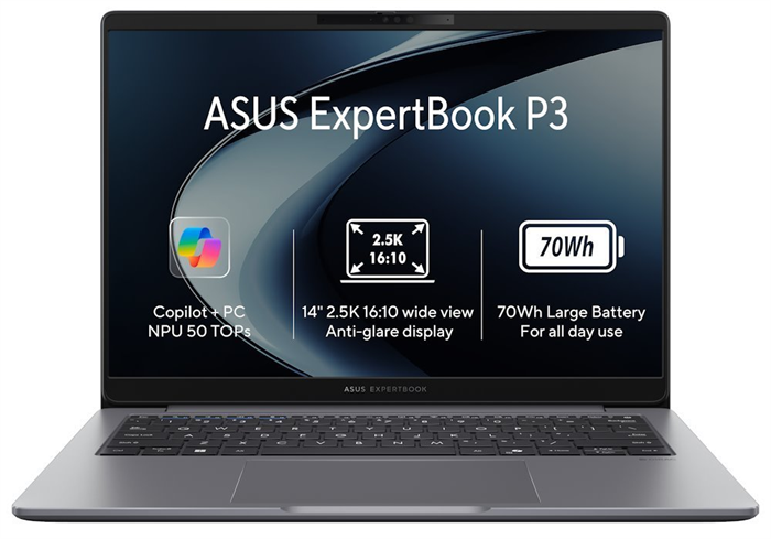 ASUS ExpertBook P3/Ryzen AI 5 330/16GB/512GB SSD/AMD Radeon/14" WQXGA/Win11Home/Gray PM3406CKA-NZR516512W