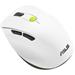 ASUS Wireless Mouse MD105 white/green 90XB0AH0-BMU010