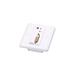 ATEN DVI/Audio Cat 5 Extender with MK Wall Plate (1920 x 1200 @ 40m) VE607-AT-G
