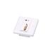 ATEN DVI/Audio Cat 5 Extender with MK Wall Plate (1920 x 1200 @ 40m) VE607-AT-G