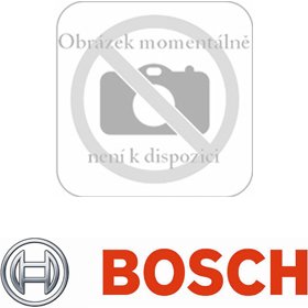 BBZ 41FP vrecká do vysávača BOSCH 4242002518169