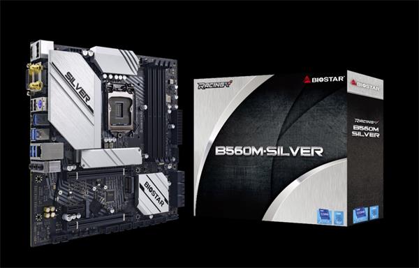 Biostar Main Board B560M-Silver, Intel B560, Soc LGA 1200, DDR4, mATX, DVI, DP, HDMI B560MSILVER