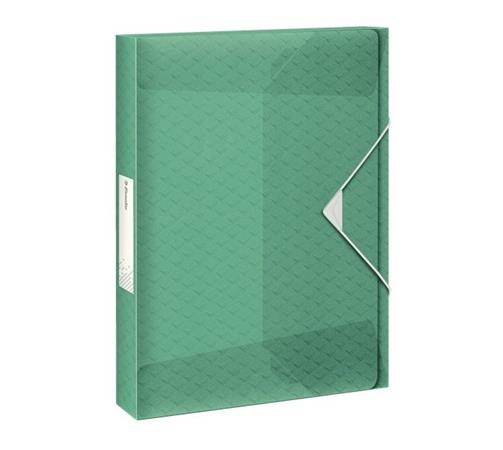 Box na spisy Esselte Colour'Ice, zelený 626265