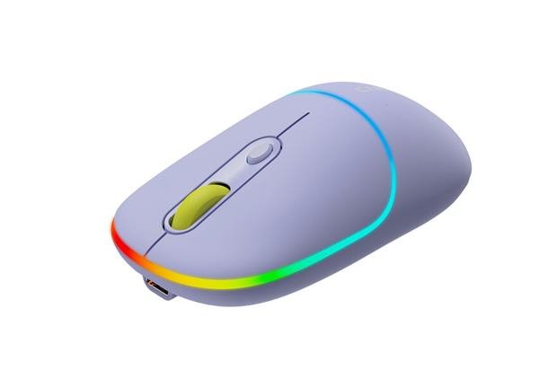 Canyon MW-22, 2v1 bezdrôtová optická myš Bluetooth / Wireless USB, 800/1200/1600 DPI, 4 tlač, fialová CNS-CMSW22ML