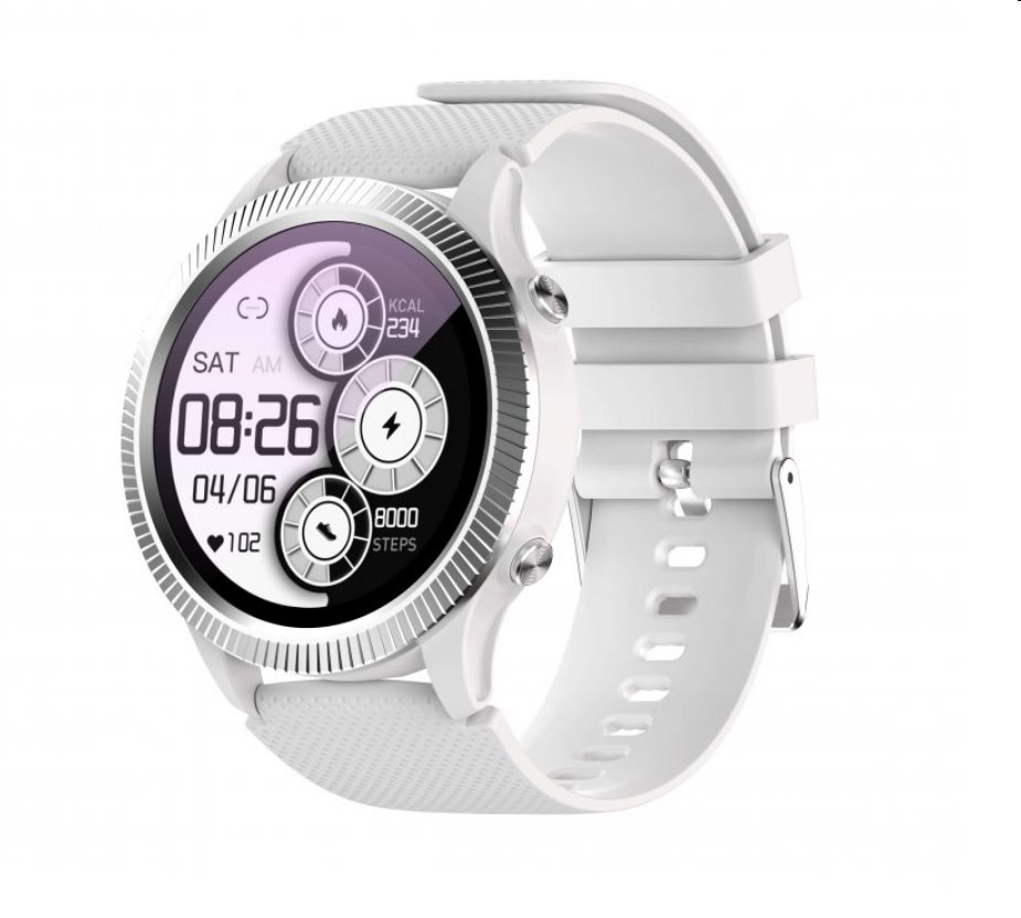 CARNEO Athlete GPS silver 8588007861715