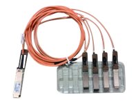 Cisco Direct-Attach Active Optical Cable - Síťový kabel - QSFP (M) do SFP+ (M) - 1 m - aktivní - bé QSFP-4X10G-AOC1M=