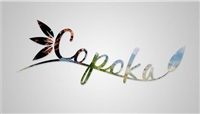 Copoka (PC) klíč Steam
