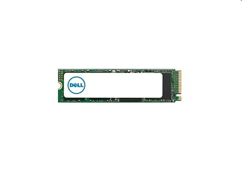 DELL 960G SSD R2E M.2Single Stick N1 Customer Kit 400-BONH