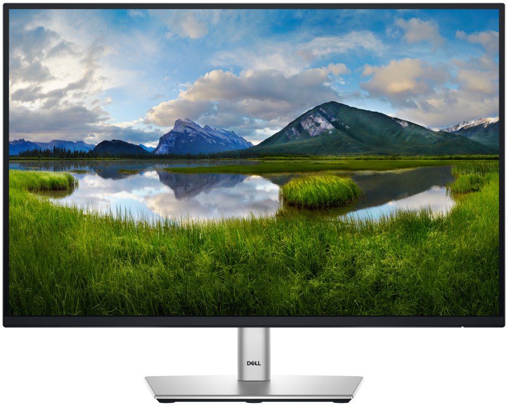 DELL P2425 24" FHD+ (1920x1200) 100Hz, IPS, 300nit, 1500:1, 5ms, PIVOT, HDMI, DP, USB-C, VGA, Black, 3Y 210- D 210-BMJD