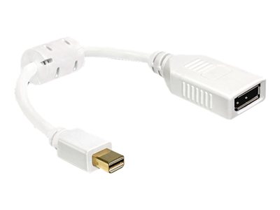 DeLOCK - Adaptér DisplayPort - DisplayPort (F) do Mini DisplayPort (M) - 21 cm 65427