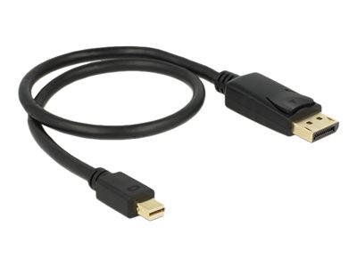 DeLOCK - Adaptér DisplayPort - DisplayPort (M) do Mini DisplayPort (M) - 50 cm - černá 83984