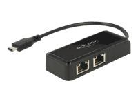 DeLock Adapter USB-C 3.1 Gen 1 > 2 x Gigabit LAN 10/100/1000 Mb/s - Síťový adaptér - USB 3.1 Gen 1 63927