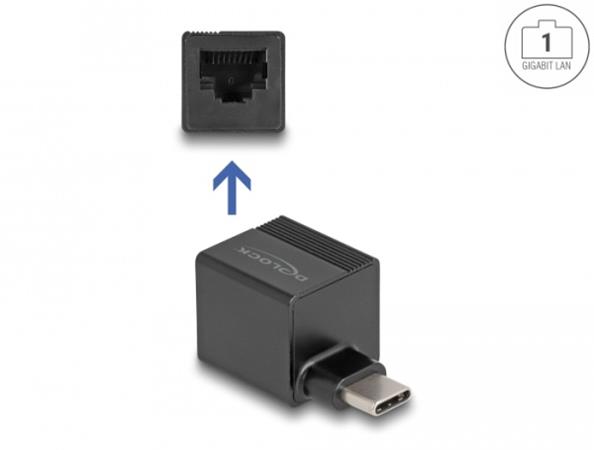 Delock Adaptér USB Type-C™ na Gigabit LAN mini 66462