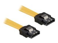 DeLOCK Cable SATA - Kabel SATA - Serial ATA 150/300/600 - SATA (F) do SATA (F) - 10 cm - opatřený z 82797