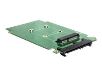 DeLOCK Converter SATA 22 pin > mSATA - Řadič úložiště - mSATA - SATA 3Gb/s - SATA 3Gb/s 62432