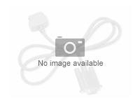 DELOCK, Delock Active Optical Cable DisplayPort 85885