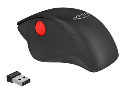 DeLOCK Ergonomic - Myš - ergonomický - pravák - optický - 3 tlačítka - bezdrátový - 2.4 GHz - bezdr 12598
