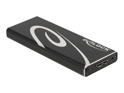 DELOCK, External Enclosure SuperSpeed USB for M. 42007