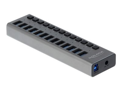 DELOCK, External SuperSpeed USB Hub with 13 Port 63738