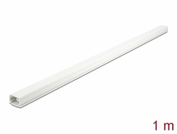 Delock Kabelovod s krytem, 22 x 15 mm - délka 1 m bílý 20720