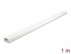 Delock Kabelovod s krytem, 26 x 13 mm - délka 1 m bílý 20721