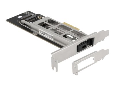 DELOCK, Mobile Rack PCI Express Card for 1 x M.2 47003