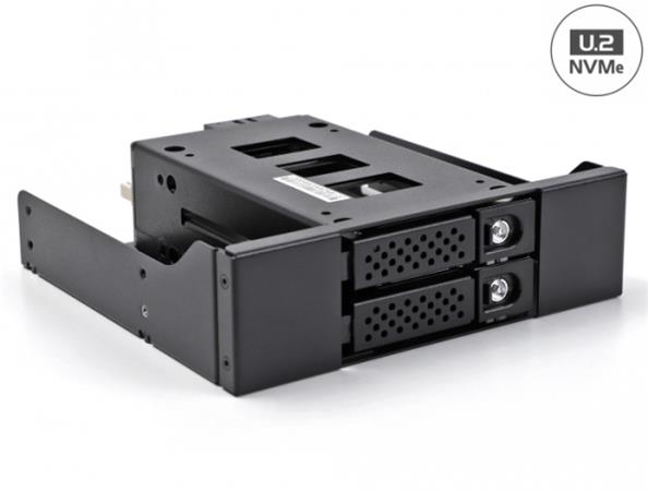 Delock Mobilní přihrádka s úzkou zásuvkou pro 2 x SSD NVMe U.2 rozměru 2.5” s rámem rozměru 5.25” 47011