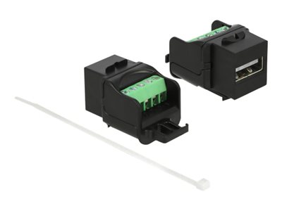 Delock - Modul - USB 2.0 Type A - černá 86386