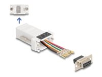 Delock - Sériový adaptér - DB-9 (F) do RJ-45 (F) - CAT 5/5e/6 - individuálně přiřaditelné sériové r