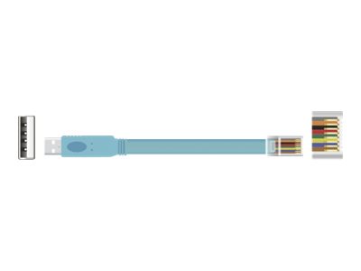 DeLOCK - Sériový kabel - USB (M) do RJ-45 (M) - 3 m - EIA-232 - modrá 63289