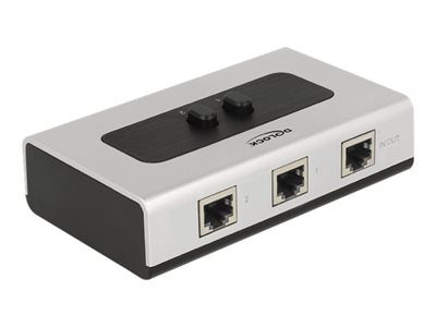 DeLock Switch RJ45 10/100/1000 2 port manual bidirectional - Přepínač - 2 x 10/100/1000 - desktop 87673