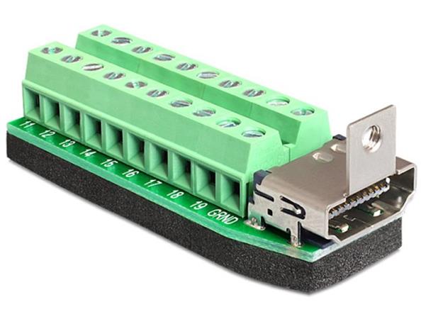 Delock Terminal Block Adapter HDMI female to 20 pin 65168