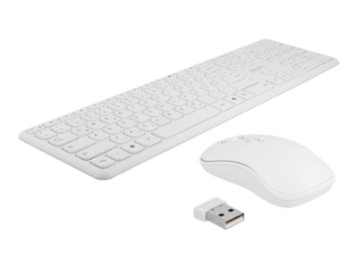 DELOCK, USB Keyboard and Mouse Set 2.4 GHz wirel 12703