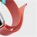 Devia Apple Watch Deluxe Series Sport3 Band (40mm) Nectarine 6938595325229