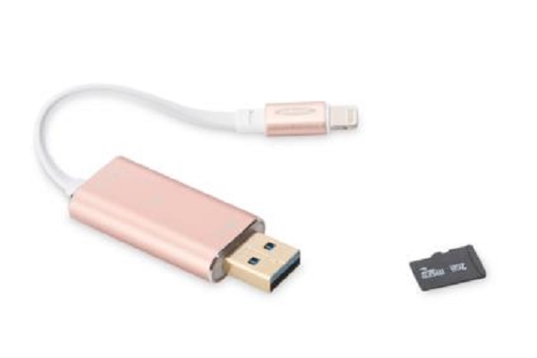 DIGITUS/Ednet Smart Memory, růžová, 256 GB 31522