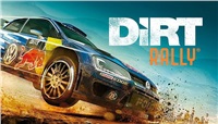 DiRT Rally (PC/MAC/LX) klíč Steam 858076