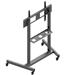 EDBAK TV Vozík TR19 pre displeje s uhlopriečkou 55” – 110”, max 130kg, VESA 1000x600 WWTR-TR19