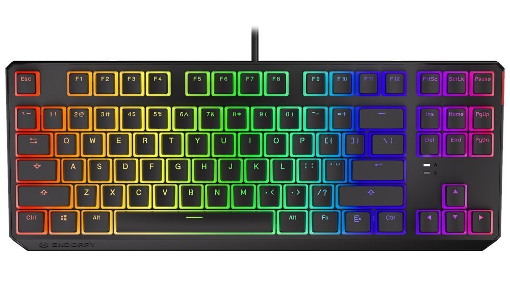 Endorfy herní klávesnice Thock TKL Pudd.Khail BR RGB /USB/ brown sw. / drátová / mechanická / US layout / černá EY5A005