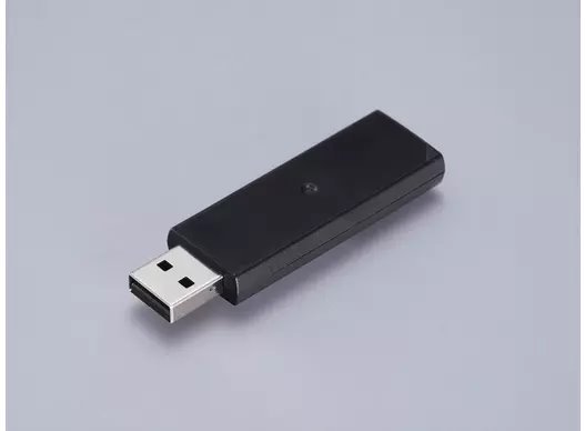 Epson Wireless LAN Interface-P1 (5GHz) - AM-C C12C936861