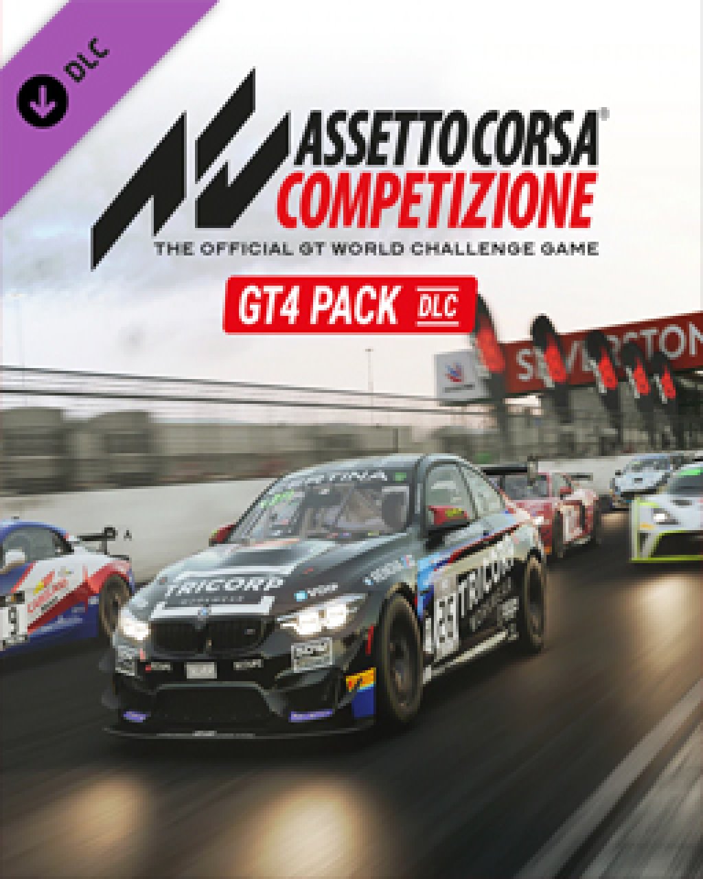 ESD Assetto Corsa Competizione GT4 Pack 7831