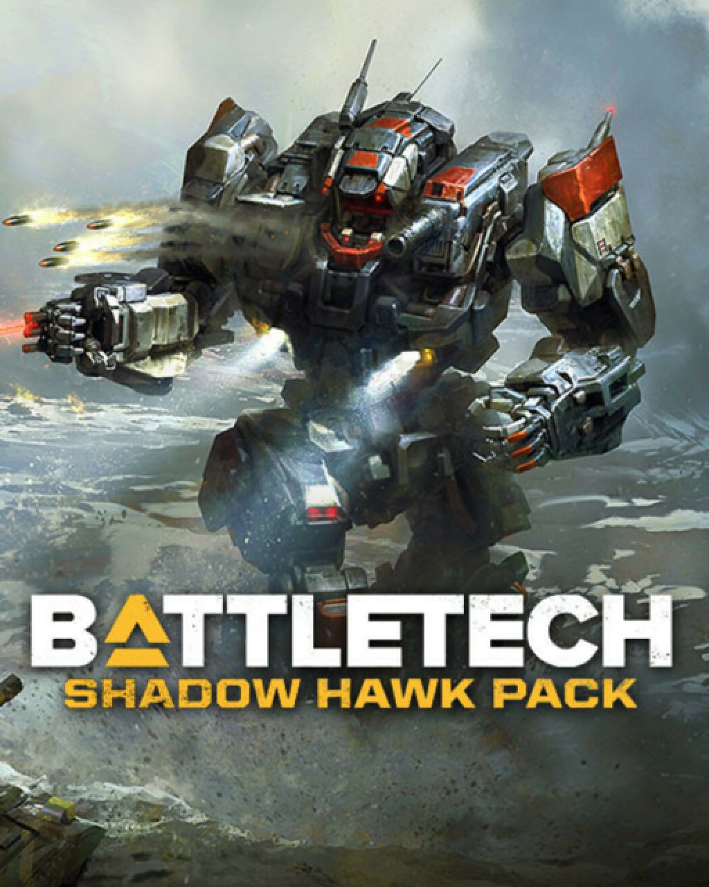 ESD BATTLETECH Shadow Hawk Pack