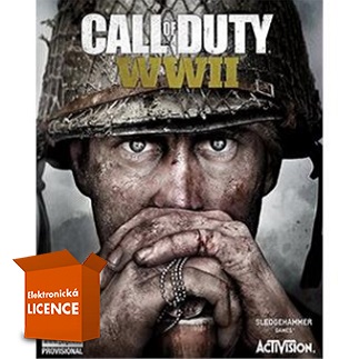 ESD Call of Duty WWII 3610