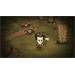 ESD Dont Starve