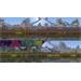 ESD Kingdom Two Crowns 6063