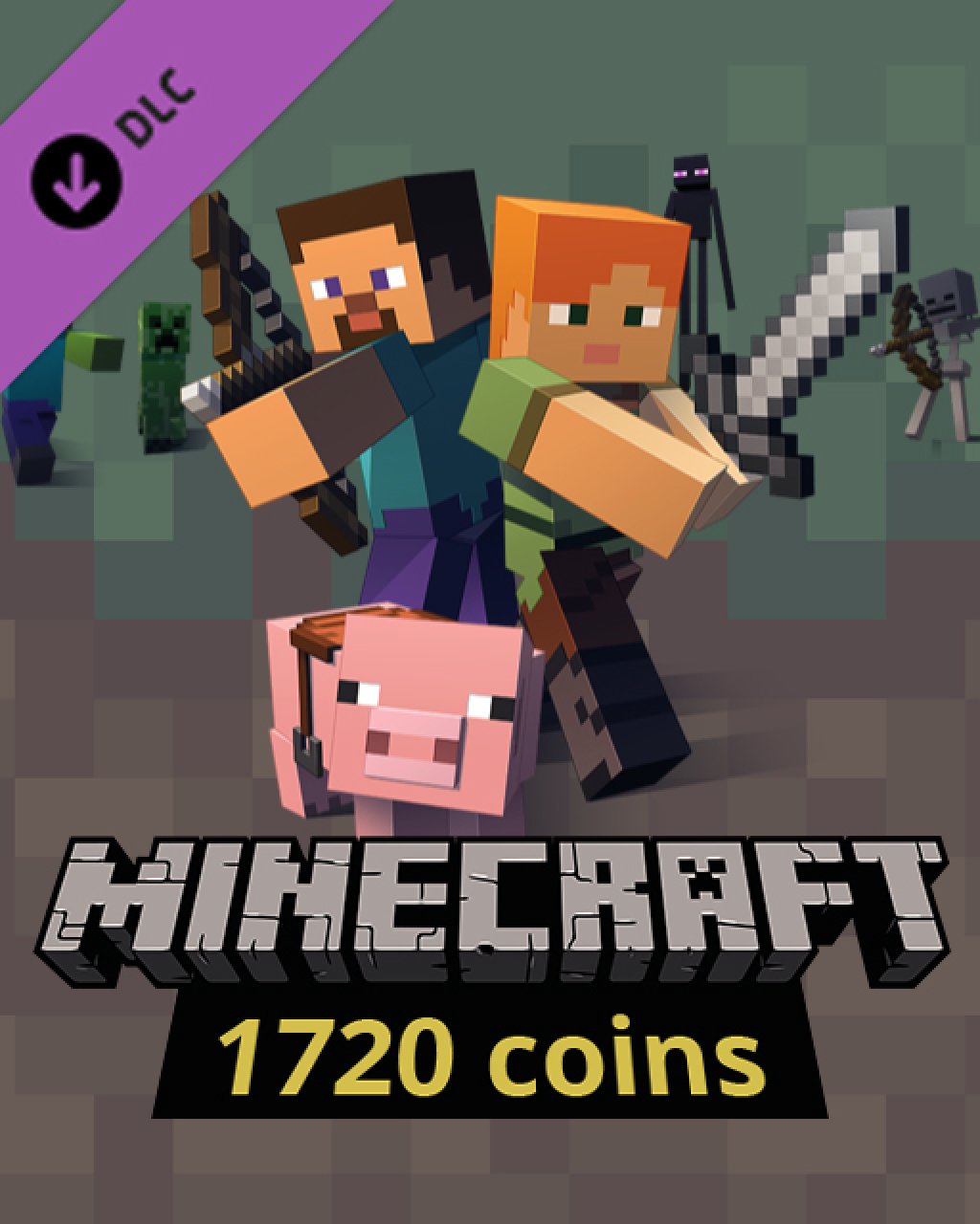 ESD Minecraft 1720 Coins 7849