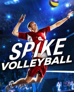 ESD Spike Volleyball 5477